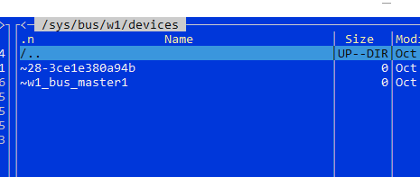 raspberry pi 1-wire